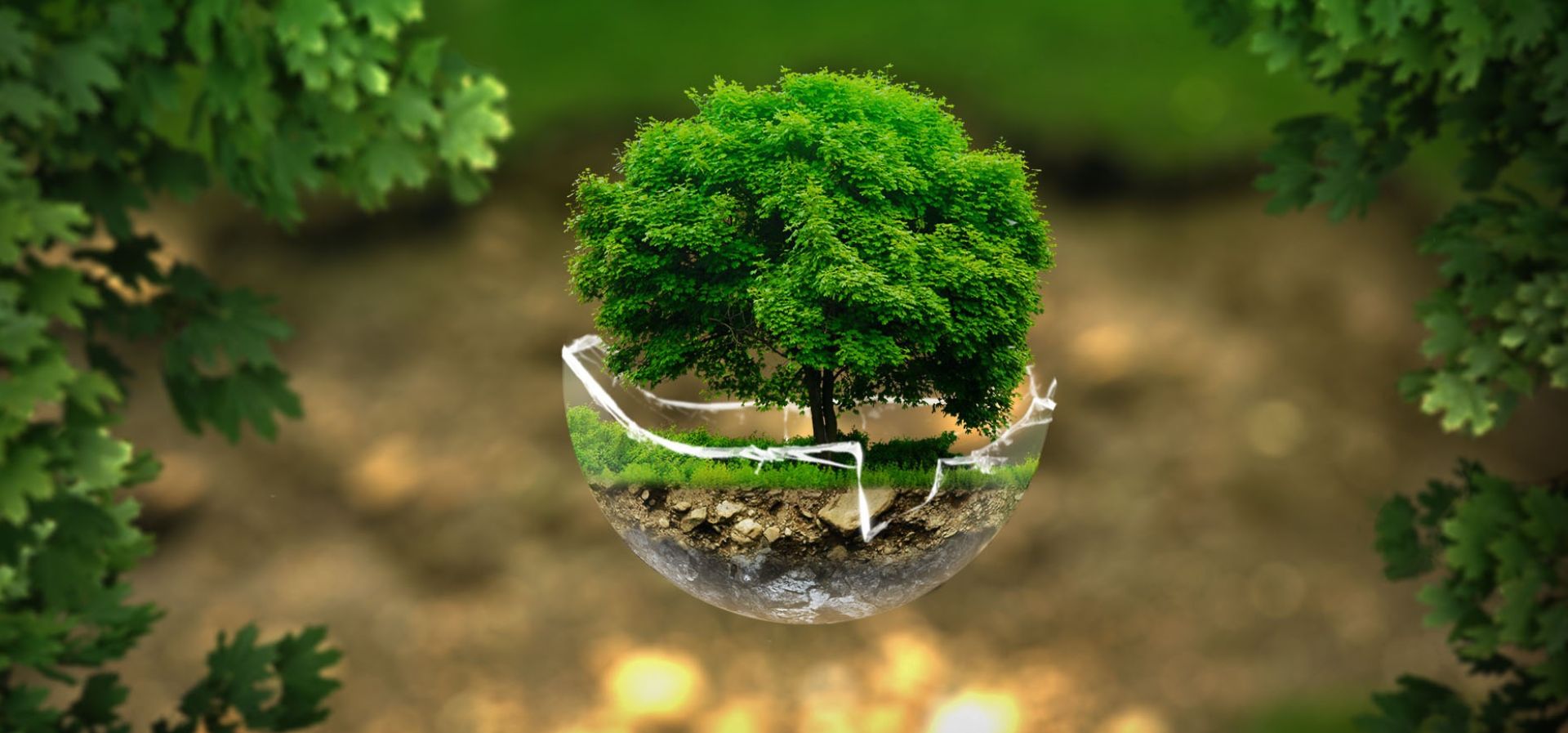 Certificazioni ambientali: quali sono le più richieste dalle aziende