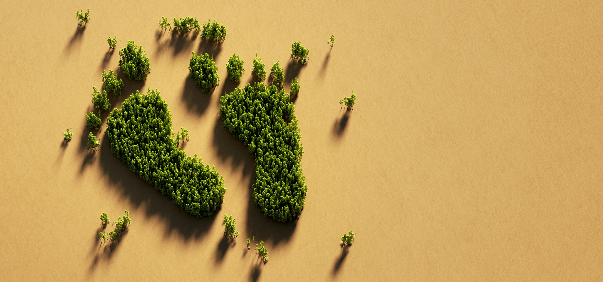 Carbon Footprint aziendale: cos’è, come si calcola e perché è sempre più importante