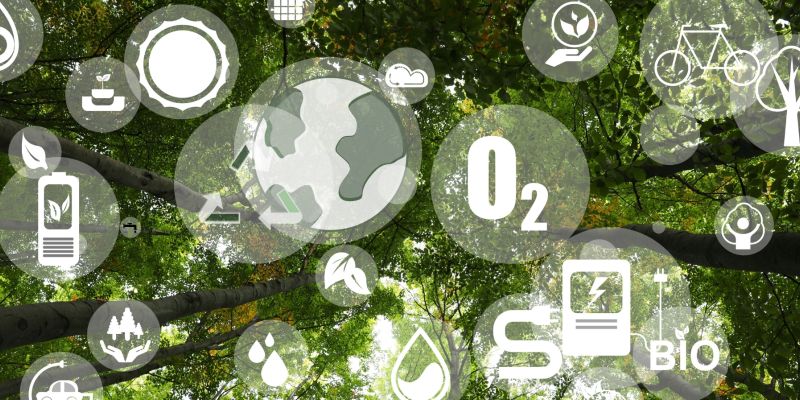 SIMEST Transizione Digitale ed Ecologica: Fondo SIMEST 394/81